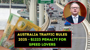 $1223 Penalty For Speed Lovers