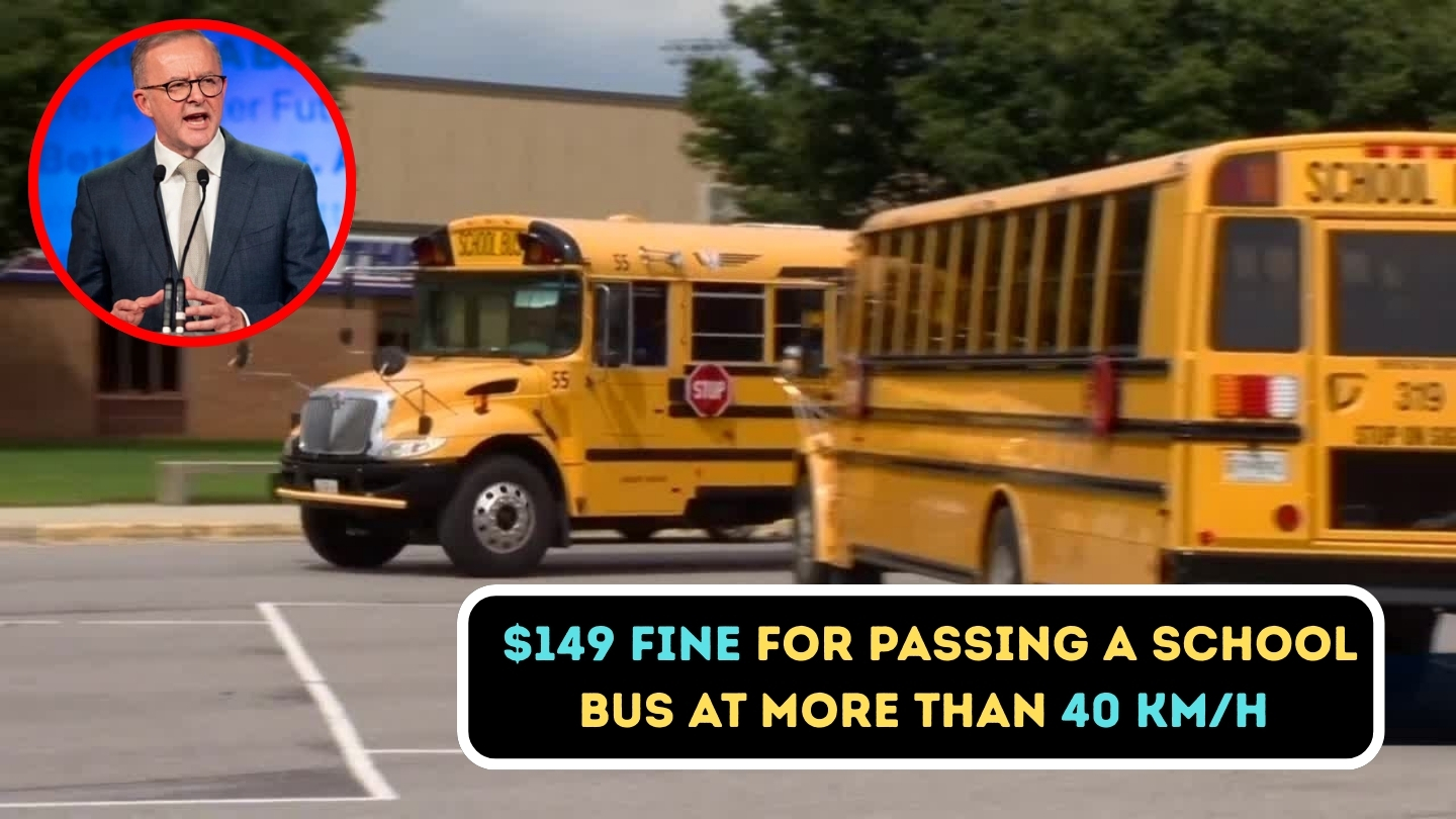 $149 Fine For Passing a School Bus