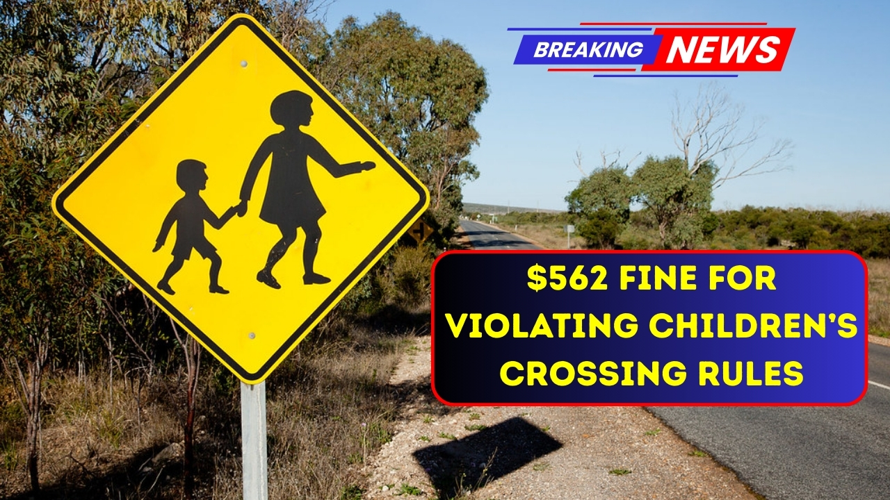 $562 Fine for Violating Children’s Crossing Rules