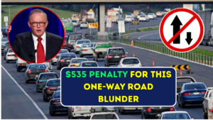 $535 Penalty for This One-Way Road Blunder