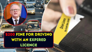 Expired Licence