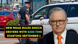New Road Rules Shock Drivers