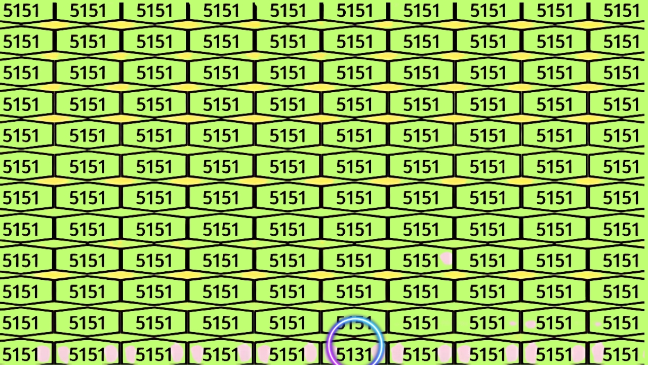  Find The Number 5131